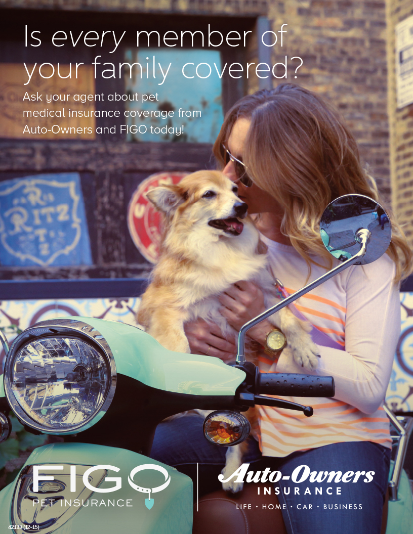 dog and owner - pet insurance from EW Smith Agency